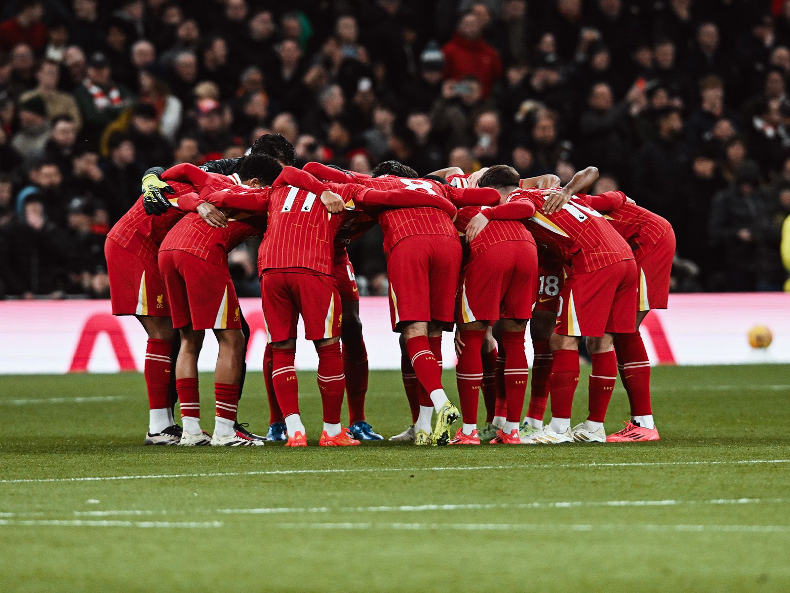 《艾尔登法环：黑夜君临》首款DLC评价褒贬不一！