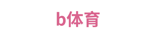 b体育2